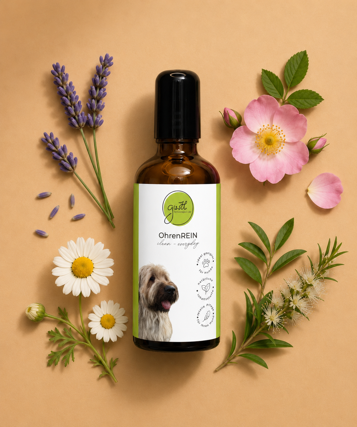 GUSTL OhrenRein – pflegende Ohrreinigung für Hunde