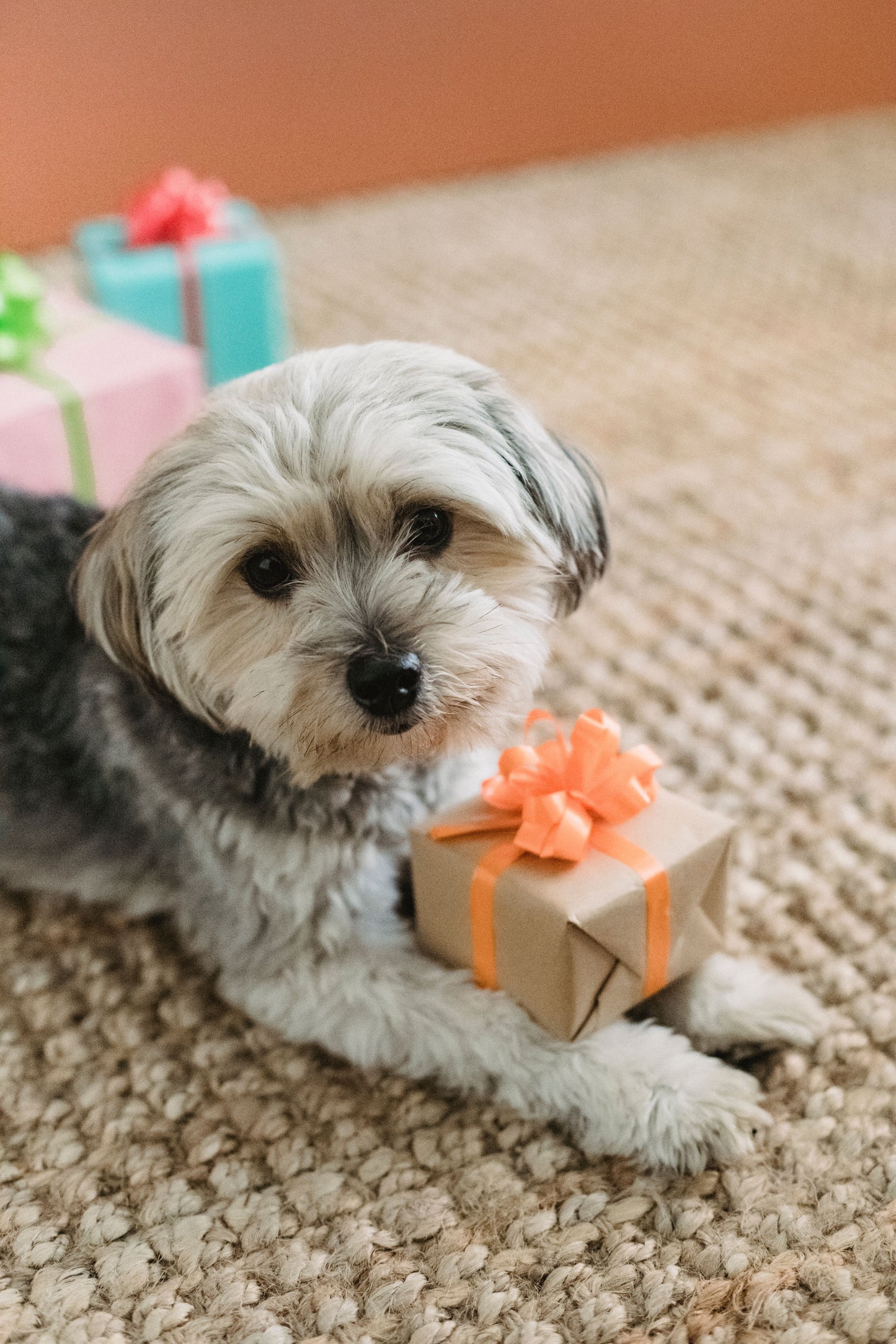 Geschenkgutschein