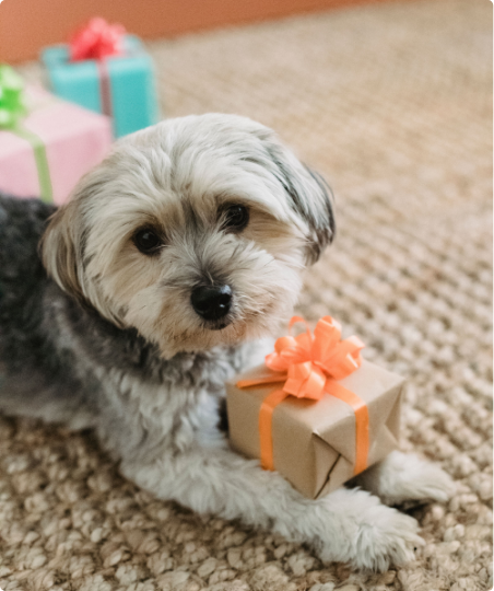 Geschenkgutschein